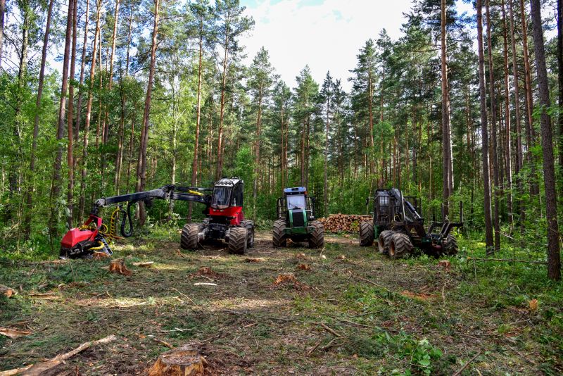 Forestry Clearing in Gwinnett County, GA