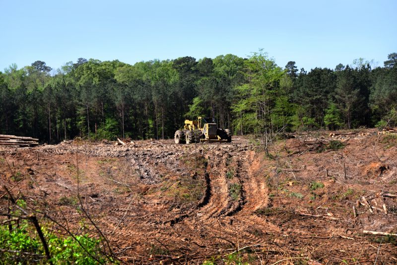 Hill Clearing in Gwinnett County, GA