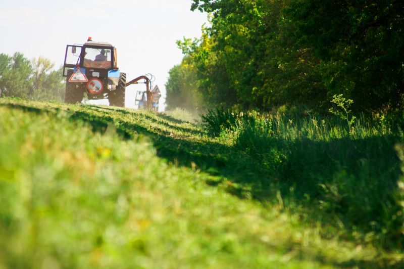 Acreage Clearing in Cumming, GA