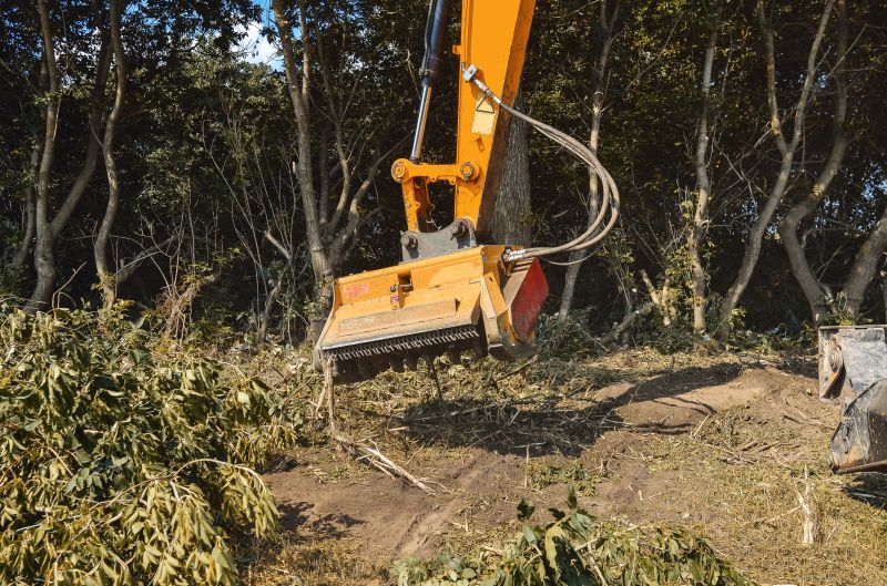 Brush Clearing Service in Cumming, GA