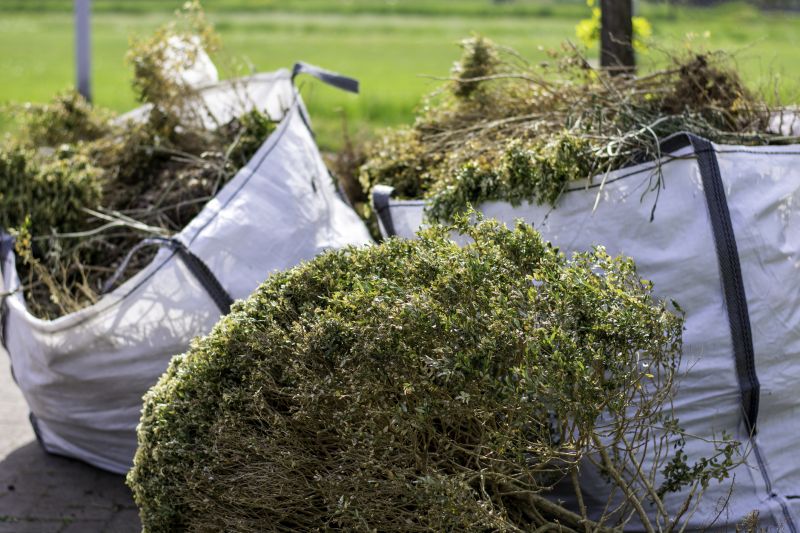 Bushes Clearing in Houston, TX