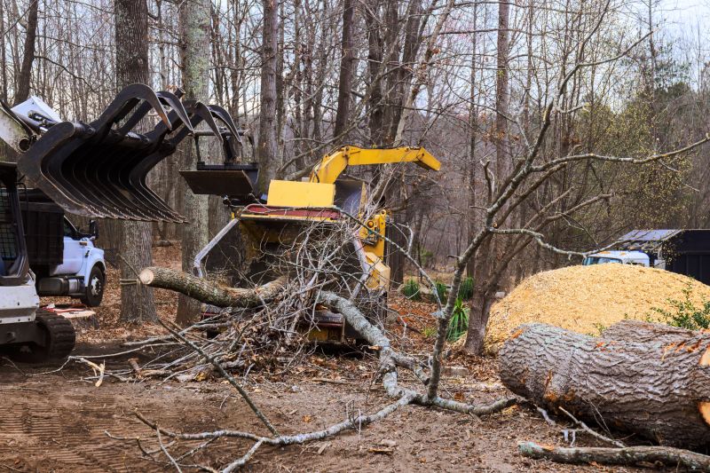 Cherry Tree Removal in Duluth, MN