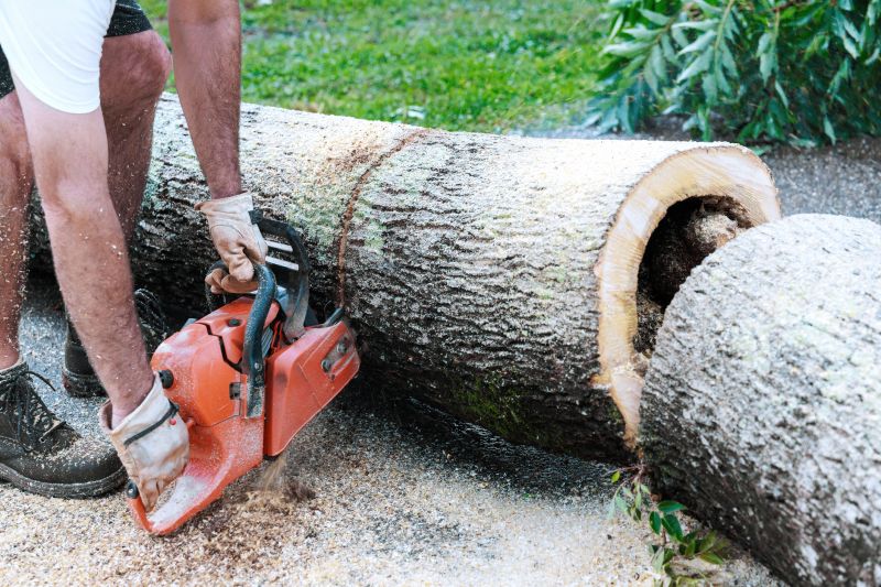 Commercial Tree Removal in Montgomery County, PA
