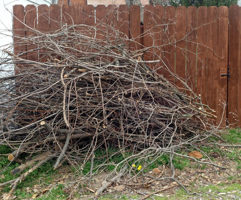 Deadwood Removal in Reno, NV