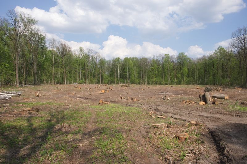 Farm Clearing in Marietta, GA