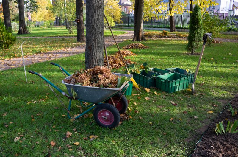 Field Clearing in Cumming, GA