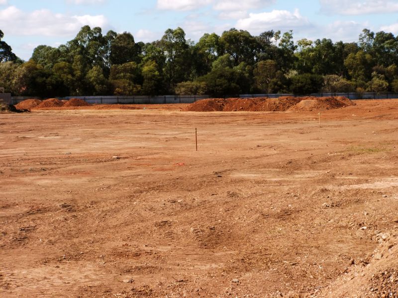 Property Line Clearing in Marietta, GA