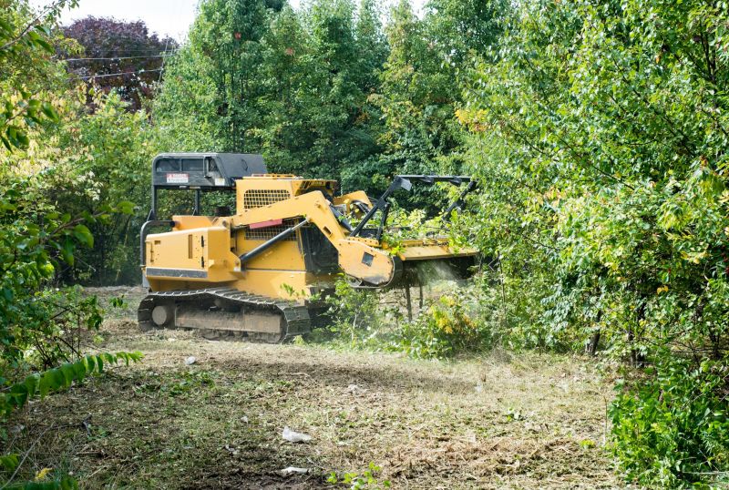 Slope Clearing in Cumming, GA